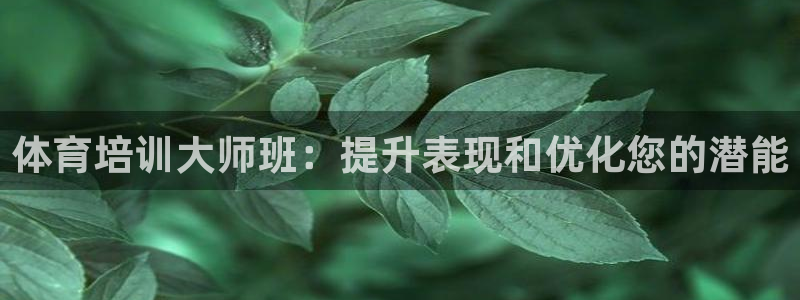 焦点娱乐传媒有限公司怎么样呀：体育培训大师班：提升表