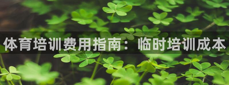 焦点娱乐app下载安装：体育培训费用指南：临时培训成