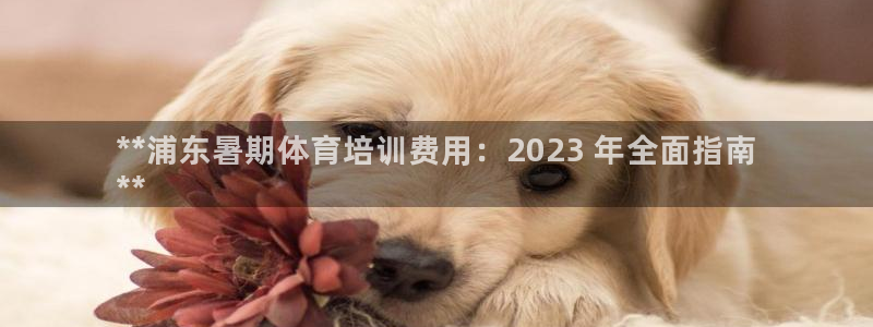 焦点娱乐游戏怎么玩：**浦东暑期体育培训费用：202