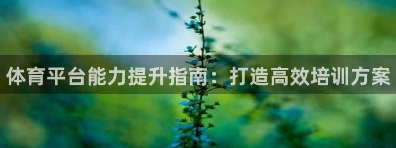 焦点娱乐官网下载安装苹果版：体育平台能力提升指南：打