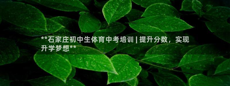 焦点娱乐有限公司电话