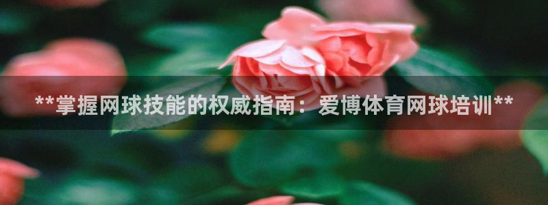 焦点娱乐app下载官网苹果版：**掌握网球技能的权威