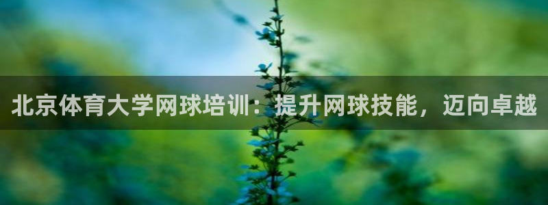 焦点娱乐官网首页下载：北京体育大学网球培训：提升网球